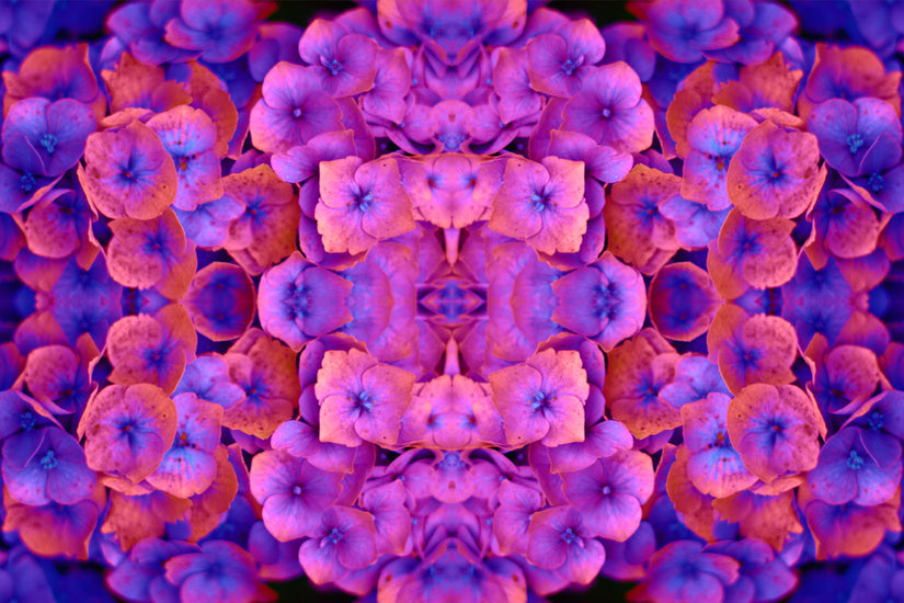 Full Moon - Libra Sun opposed Aries Moon