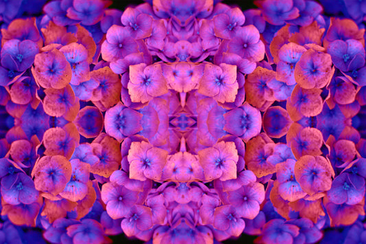 Full Moon - Libra Sun opposed Aries Moon