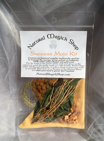 Success Mojo Kit