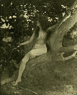 Dryad oil