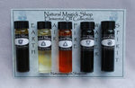 Elemental Oils set of five 1/4 oz - Natural Magick Shop